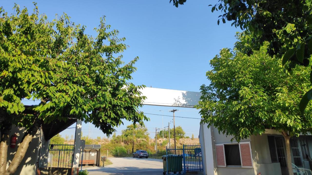 Camping Mitikas And Bungalows Plaka Litóchoro Exterior foto